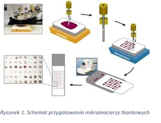 Mikromacierze tkankowe7867.png
