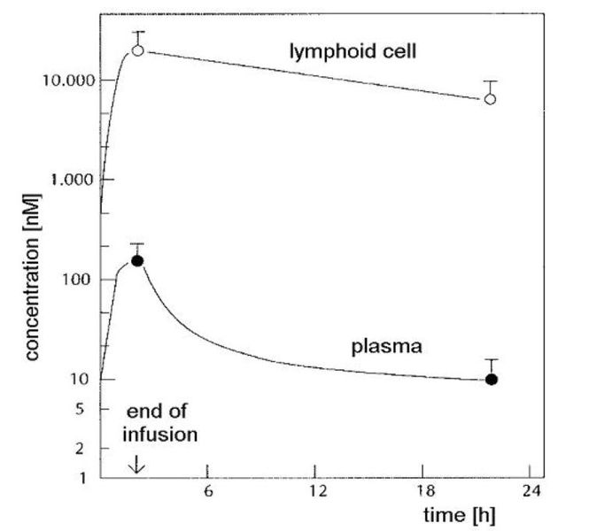 Plik:Ryc4.jpg