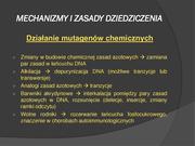 następna strona →