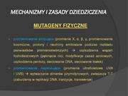 następna strona →