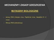 następna strona →