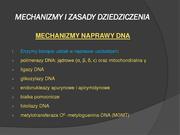 następna strona →