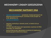 następna strona →