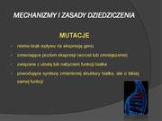 ← poprzednia strona