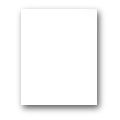 1NSG.pdb